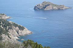 Port Cros - ilot de la gainiere